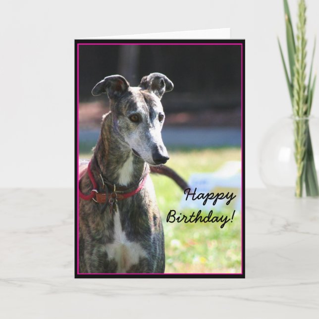 Happy Birthday Greyhound greeting card (Front)