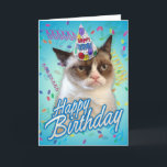 Happy Birthday Grumpy Cat Card<br><div class="desc">This card features Grumpy Cat in a party hat,  with "Happy Birthday" on the front.</div>