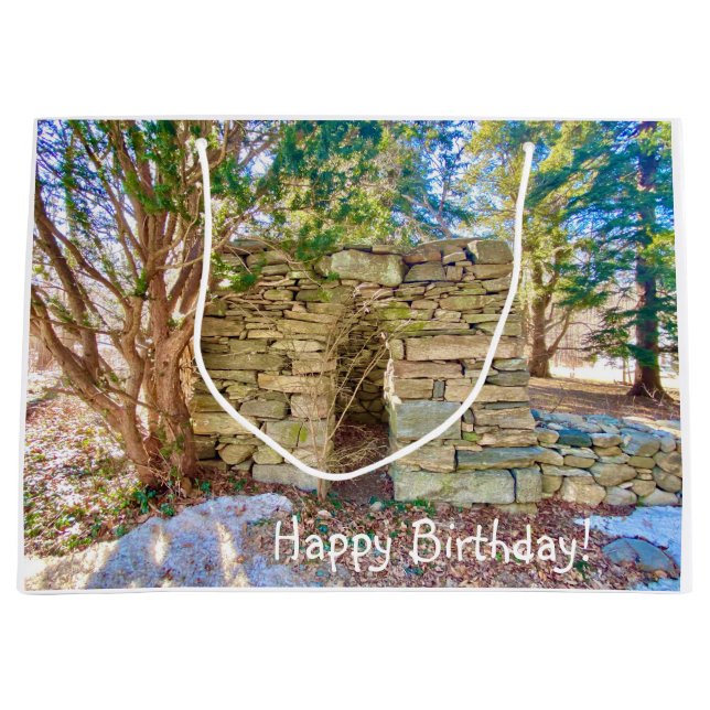 Happy Birthday History Buff Large Gift Bag (Front)