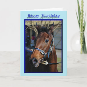 Happy Birthday Horse Birthday mare stallion foal Card