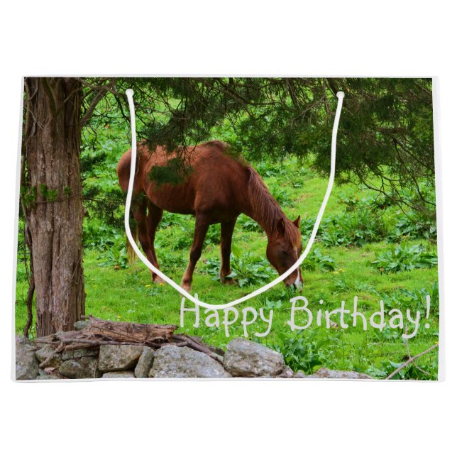 Happy Birthday Horse Large Gift Bag (Front)