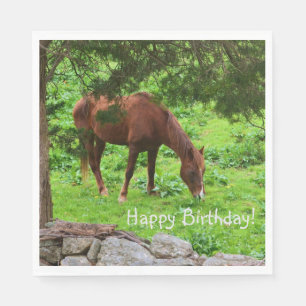 Happy Birthday Horse Napkin