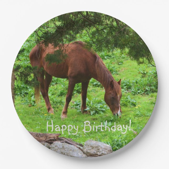 Happy Birthday Horse Paper Plate (Front)