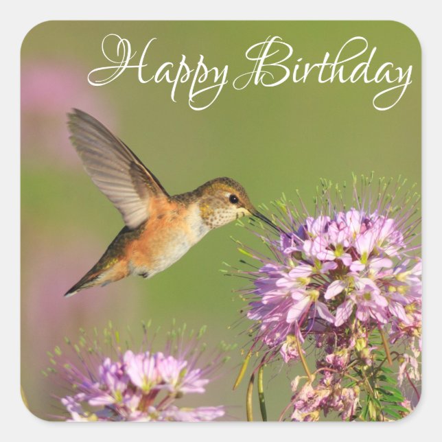 Happy Birthday Hummingbird and Wildflowers Square Sticker (Front)