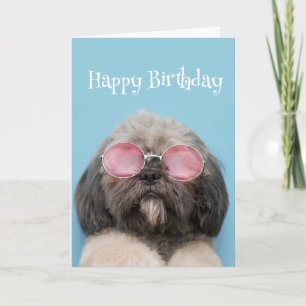 Happy Birthday Humour Stay cool Fun Dog Card