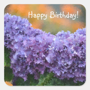 Happy Birthday Impressionistic Purple Hydrangea Square Sticker