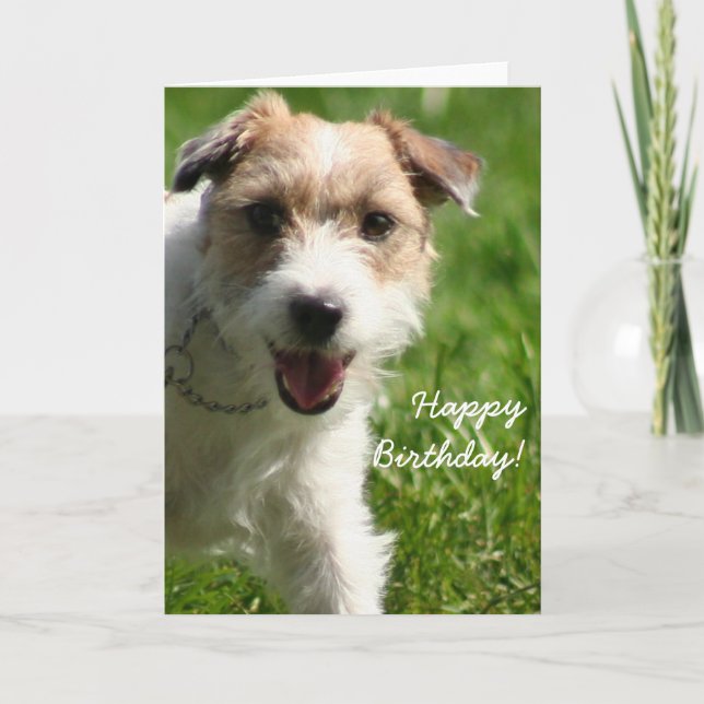 Happy Birthday Jack Russell Terrier greeting card (Front)