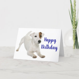 Happy Birthday Jack Russell Terrier Puppy Dog Card