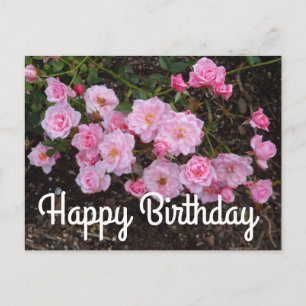 Happy Birthday Jeanne LaJoie Rose #1 Postcard