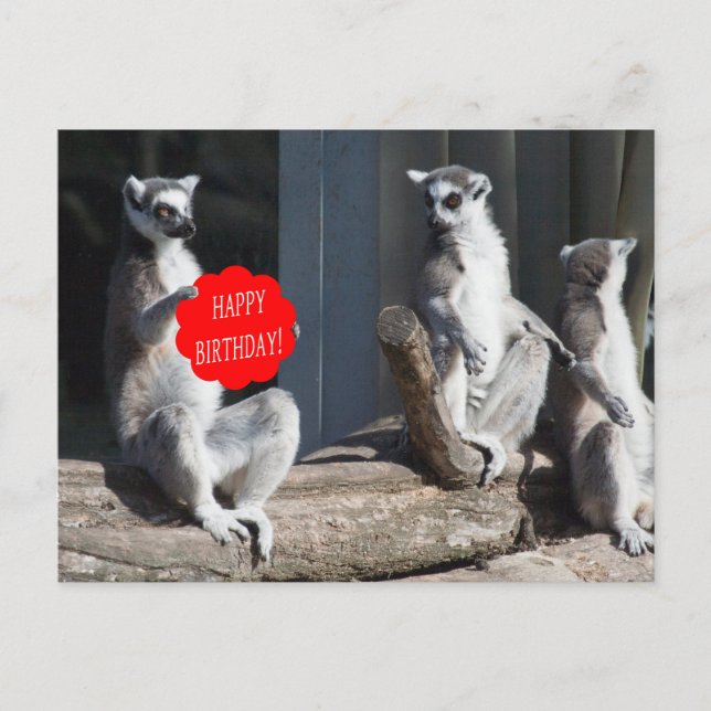 Happy Birthday Katta Postcard (Front)