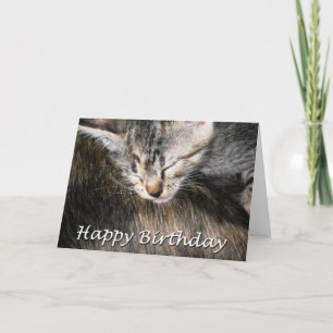 Happy Birthday Kitten and Cat Card