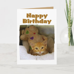 Happy Birthday Kitten Card