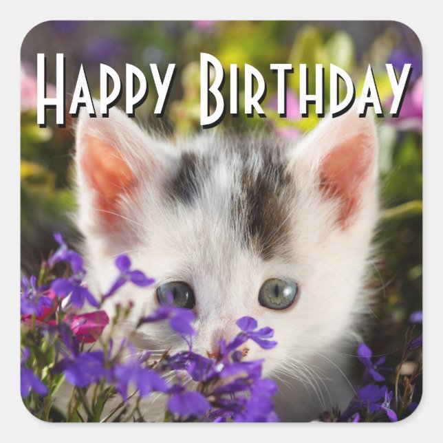 Happy Birthday Kitten Square Sticker (Front)