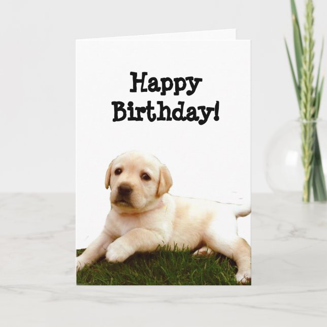 Happy Birthday Labrador puppy greeting card (Front)