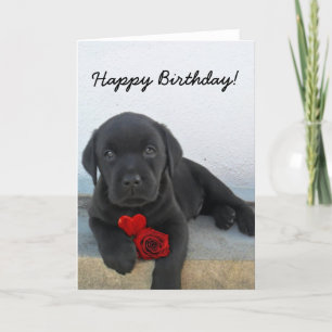Happy Birthday Labrador Retriever greeting card