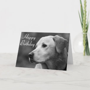 Happy Birthday Labrador Retriever Puppy Card