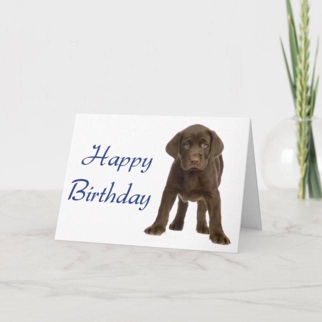 Happy Birthday Labrador Retriever Puppy Dog Card (Front)