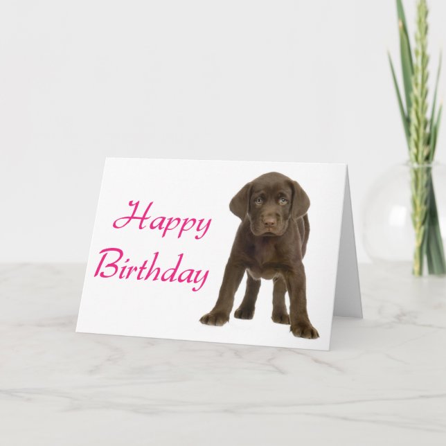 Happy Birthday Labrador Retriever Puppy Dog Card (Front)