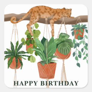 Happy Birthday, Leopard sleeping with house plants Square Sticker