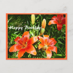 Happy Birthday Lilies Postcard