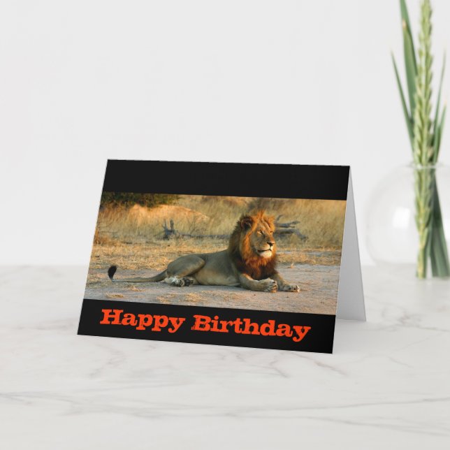 Happy Birthday Lion Sunset Card (Front)