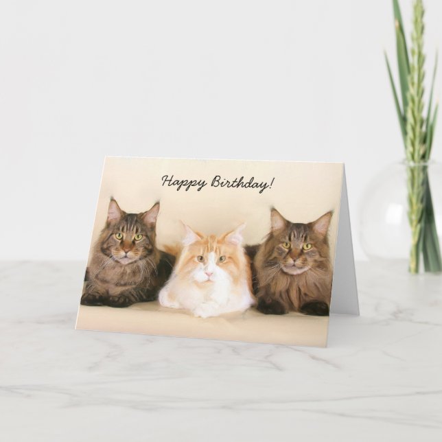 Happy Birthday Maine Coon Cats greeting card (Front)