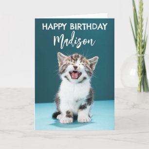 Happy Birthday   Meowing Baby Kitten Card