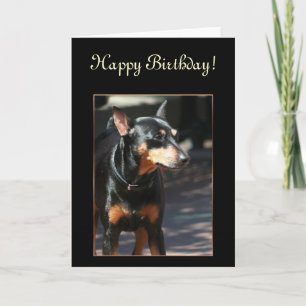 Happy Birthday Miniature Pinscher greeting card
