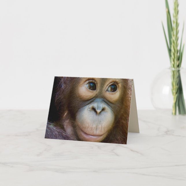 Happy Birthday Monkey! Card (Front)