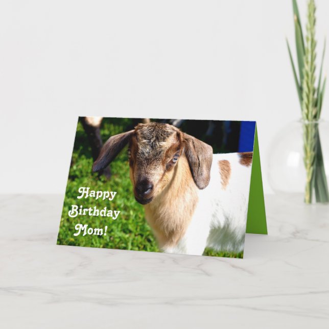 Happy Birthday Mum from Favourite Kid (with Goat) Card (Front)