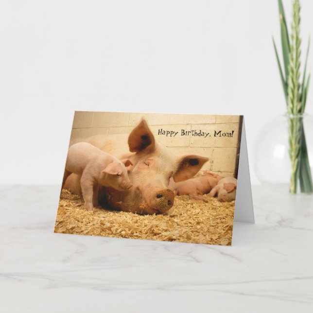 Happy Birthday Mum Mother Pig and Piglets Card (Front)