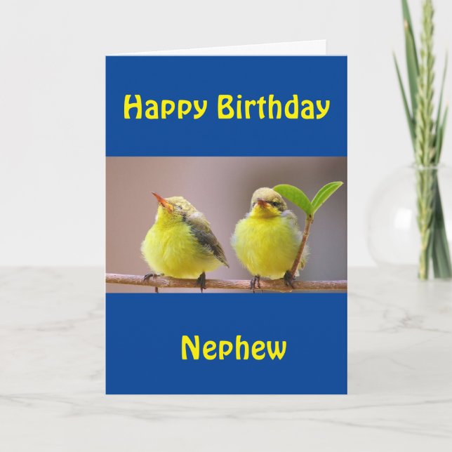 HAPPY BIRTHDAY "NEPHEW" CARD (Front)