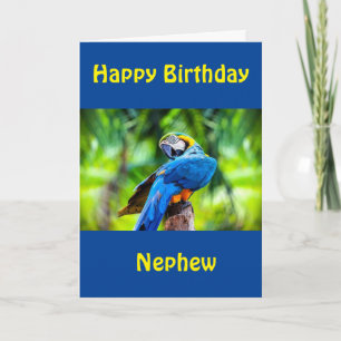 HAPPY BIRTHDAY "NEPHEW" CARD