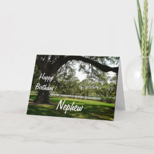 Happy Birthday Nephew-Old Tree in Garden Card