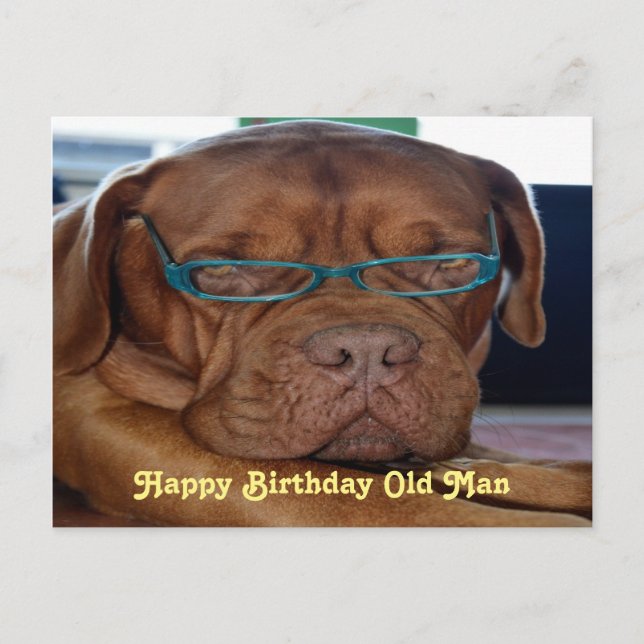Happy Birthday old man dog print Postcard (Front)