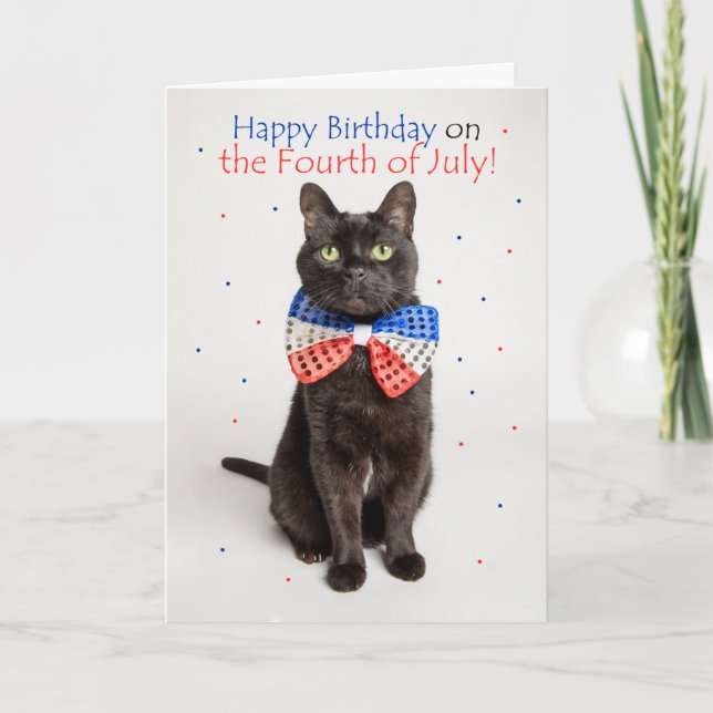 Happy Birthday on Fourth of July Cute Cat Humour Holiday Card (Front)