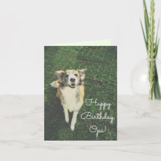 Happy Birthday, Opa! Have a Ball! Cute Dog Card