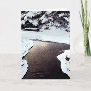 Happy Birthday_Open Water Card
