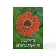 Happy Birthday Orange Zinnia flower blossom