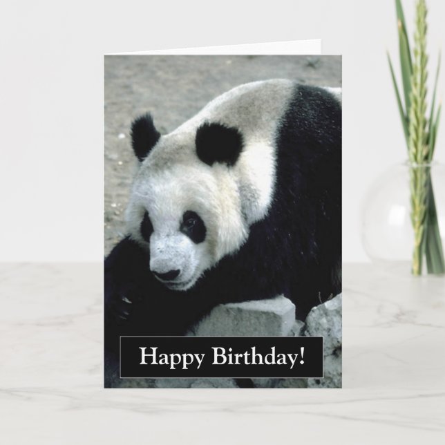 Happy Birthday Panda Bear Card (Front)