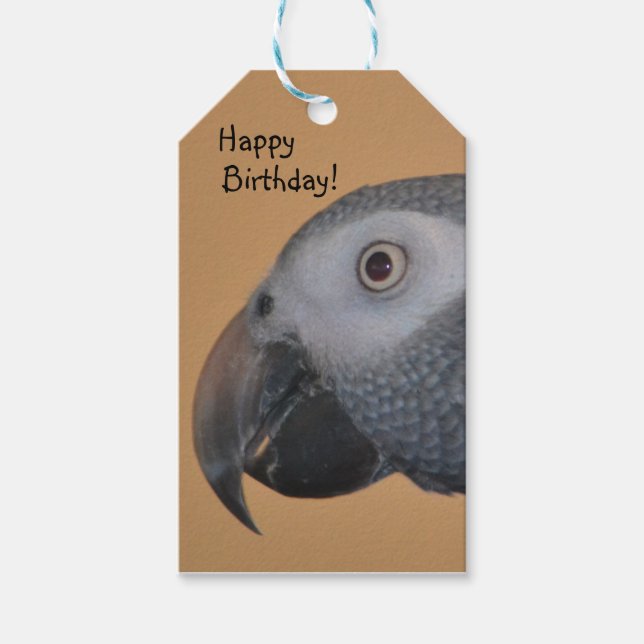 Happy Birthday Parrot Gift Tags (Front)