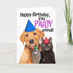 Happy Birthday Party Animal Funny Pets Smiling Holiday Card