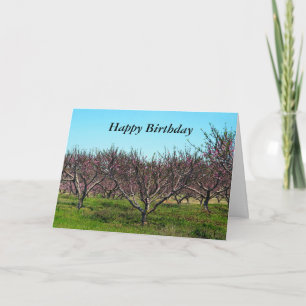 Happy Birthday Peach Orchard in Full Bloom Card