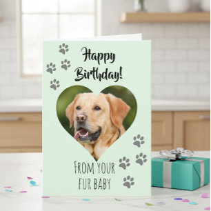 Happy Birthday Photo Dog Cat Pet Fur Baby Card
