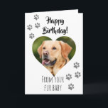 Happy Birthday Photo Dog Cat Pet Fur Baby Card<br><div class="desc">This design was created though digital art. It may be personalised in the area provide or customising by choosing the click to customise further option and changing the name, initials or words. You may also change the text colour and style or delete the text for an image only design. Contact...</div>