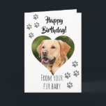 Happy Birthday Photo Dog Cat Pet Fur Baby Card<br><div class="desc">This design was created though digital art. It may be personalised in the area provide or customising by choosing the click to customise further option and changing the name, initials or words. You may also change the text colour and style or delete the text for an image only design. Contact...</div>