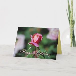 Happy Birthday Pink and Peach Rose Card