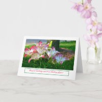HAPPY BIRTHDAY/PINK AND WHITE DAYLILIES