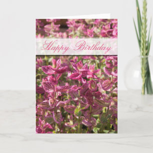 Happy Birthday Pink Leaves On Plant Stalks Photo Card