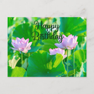 Happy Birthday Pink Lotus Flowers and Leaves  Postcard